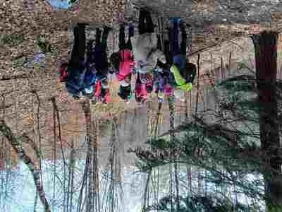 Leskowiec 18 Grudzień 2024 r. | 4